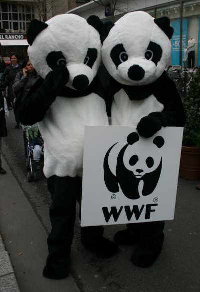 1600 pandas