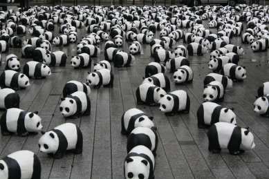 1600 pandas