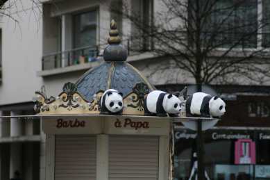 1600 pandas