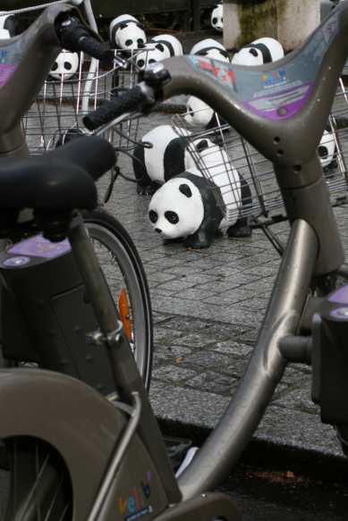 1600 pandas