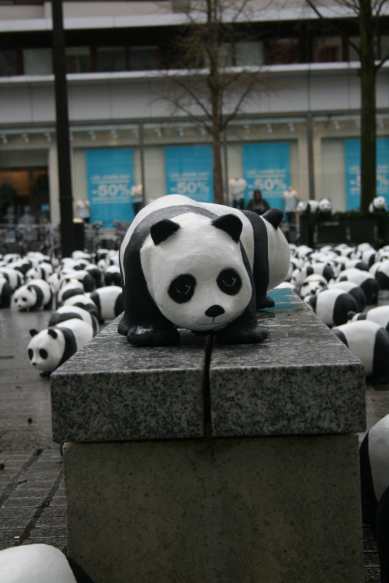 1600 pandas
