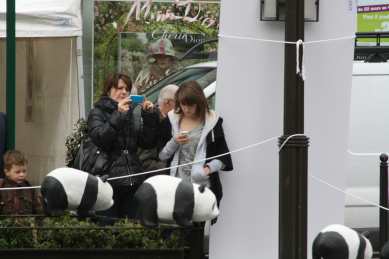 1600 pandas