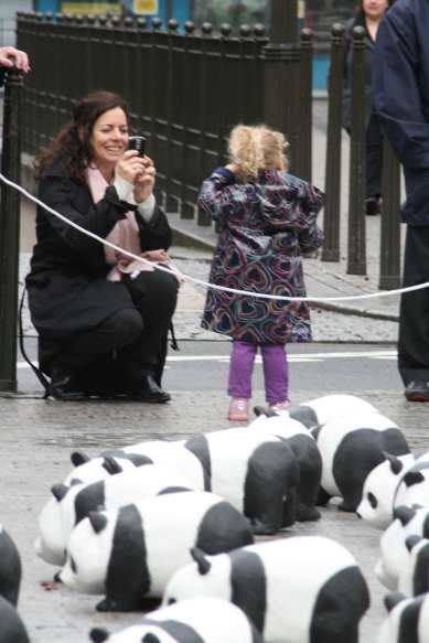1600 pandas