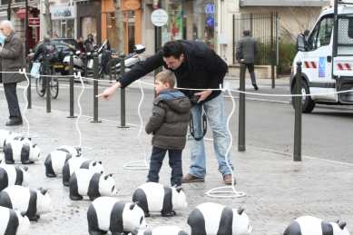 1600 pandas