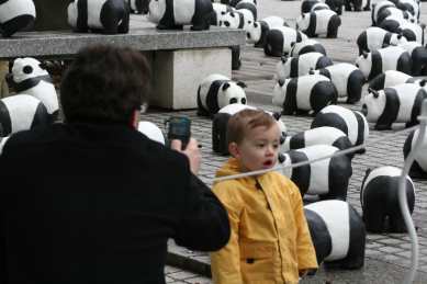 1600 pandas