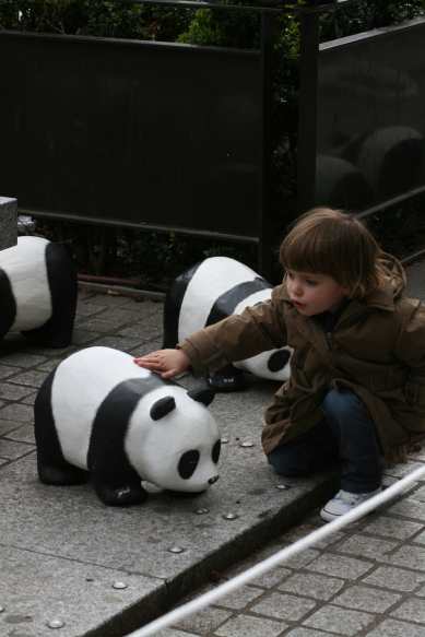 1600 pandas
