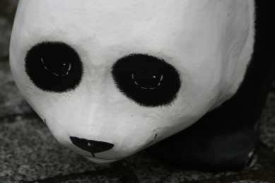 1600 pandas