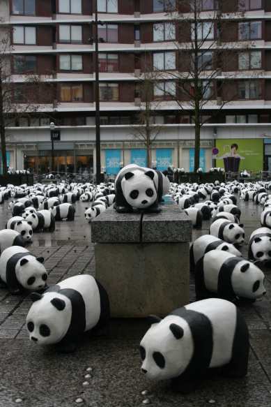 1600 pandas