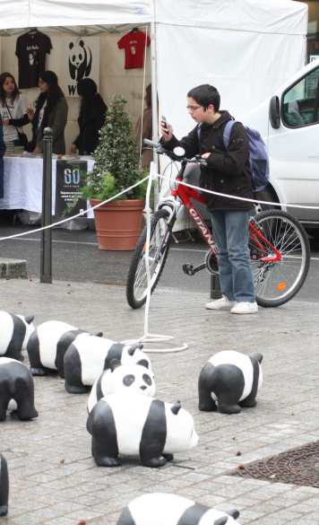 1600 pandas