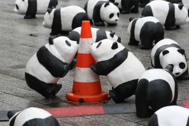 1600 pandas