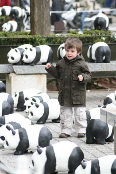 1600 pandas