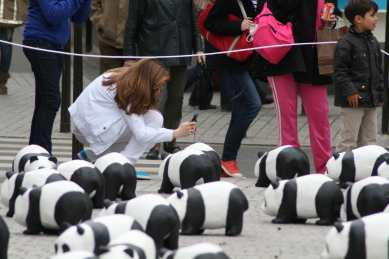1600 pandas