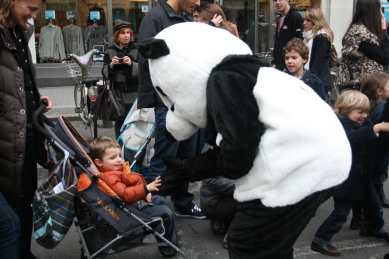 1600 pandas