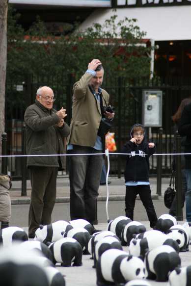 1600 pandas