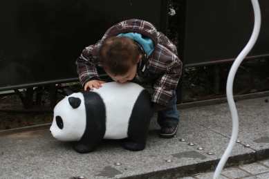 1600 pandas