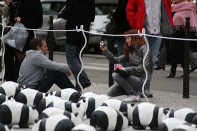 1600 pandas
