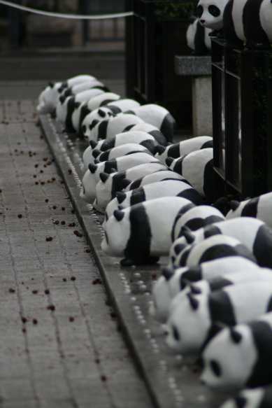 1600 pandas