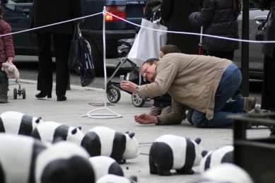 1600 pandas