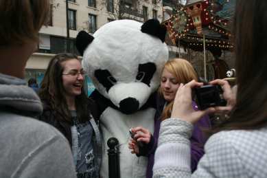 1600 pandas