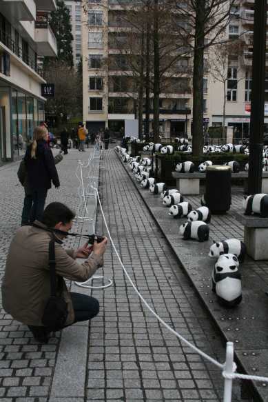 1600 pandas