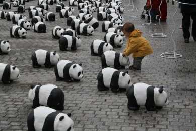 1600 pandas