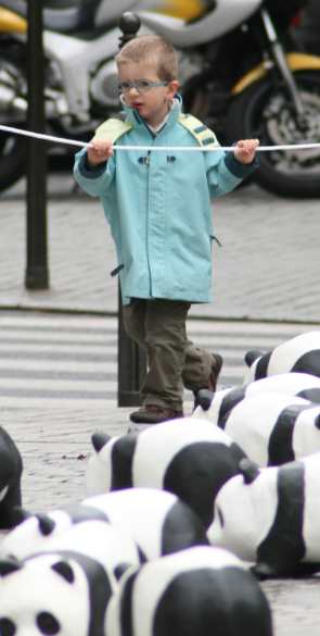 1600 pandas