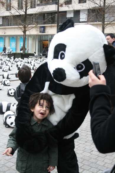 1600 pandas